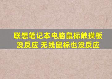 联想笔记本电脑鼠标触摸板没反应 无线鼠标也没反应